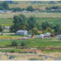 Selecting the Essentials en Plein Air